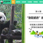 熊貓頻道網(wǎng)站建設